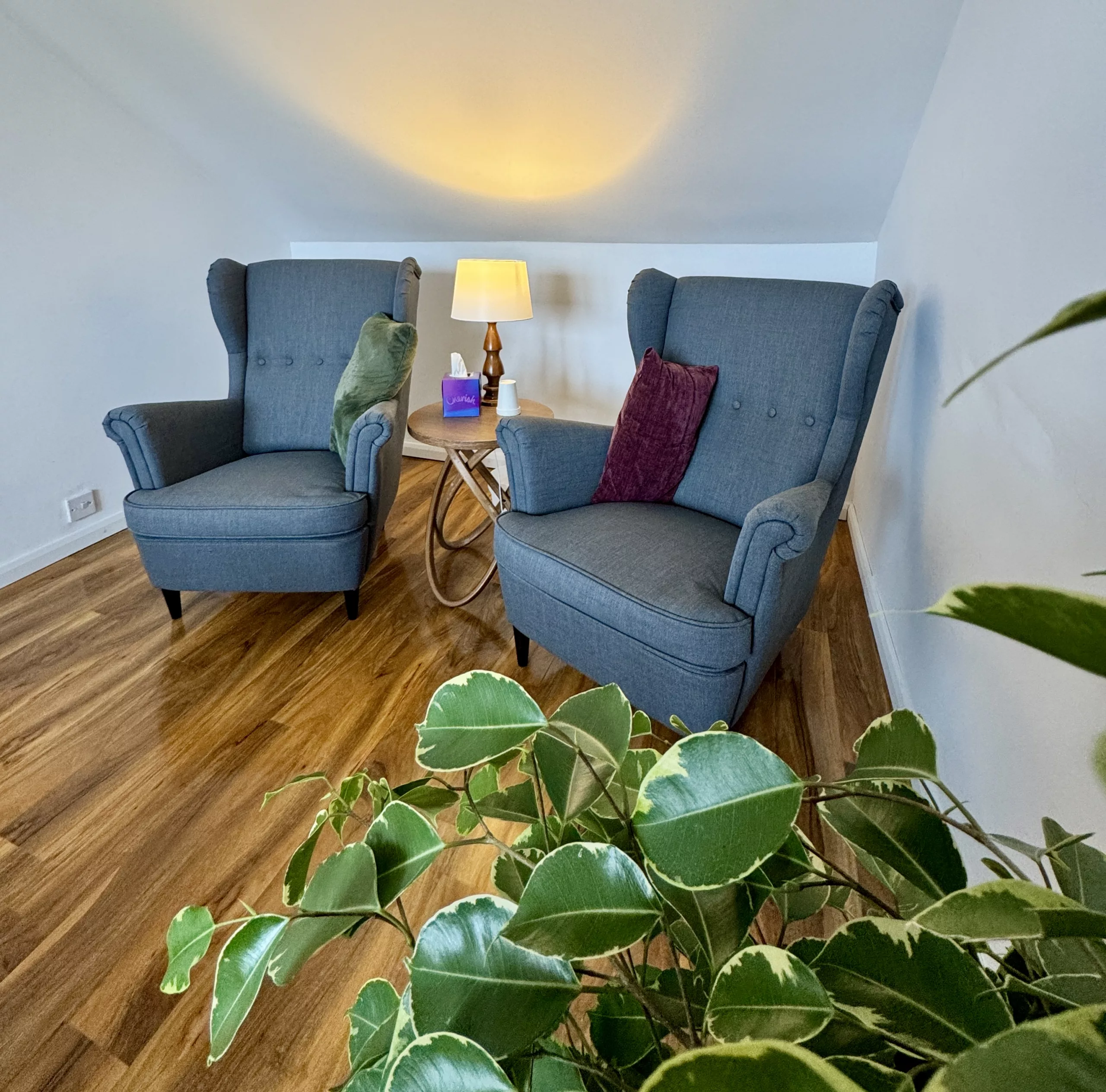 Plenty of plants to support your healing