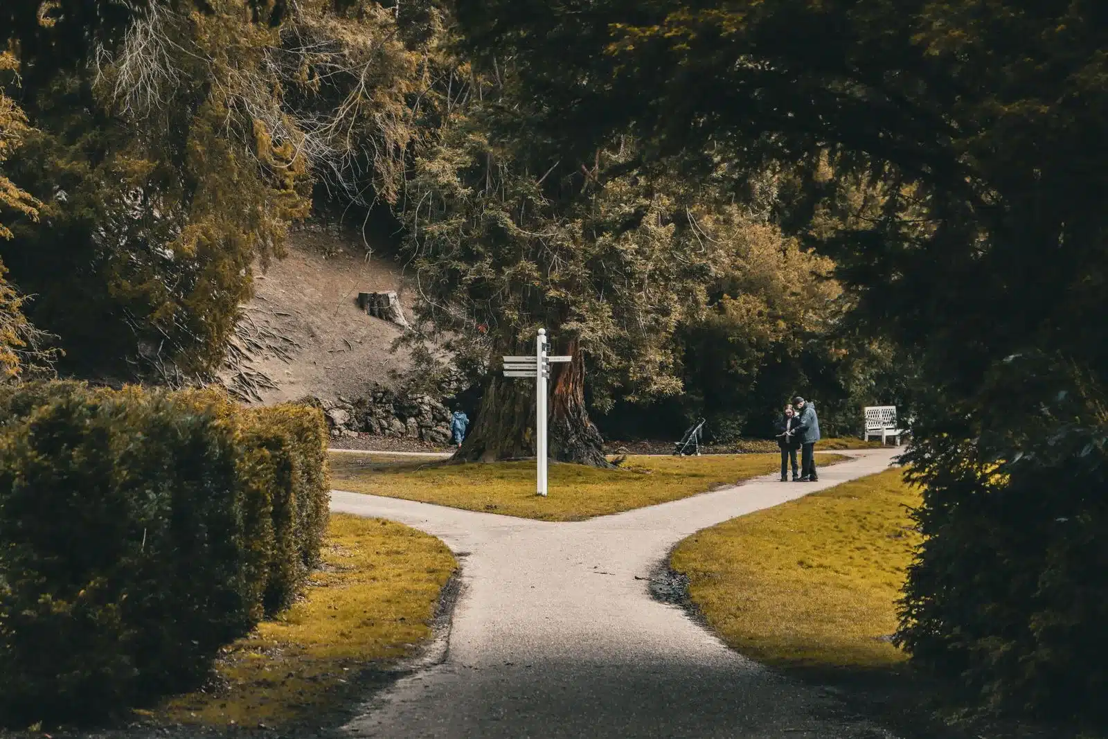 A park path splitting left and right at a white signpost, with two people standing beyond the fork under autumn trees